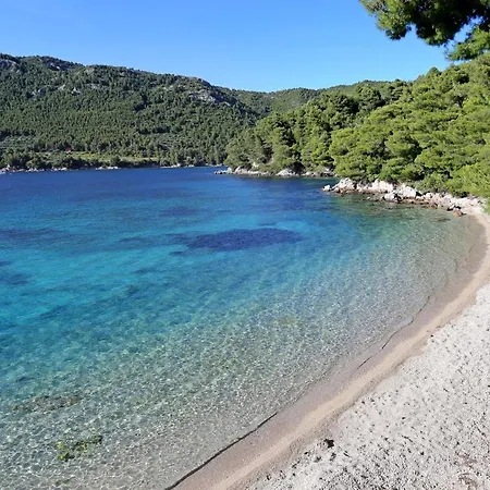 By The Sea Zuljana, Peljesac - 12058