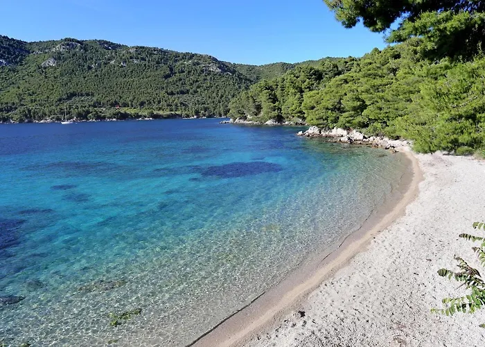 By The Sea Zuljana, Peljesac - 12058